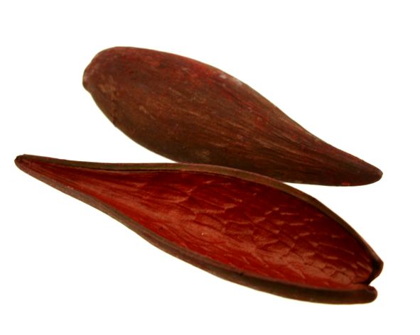 Casca canoinha - Vermelho - Tamanhos variados (5 peças)